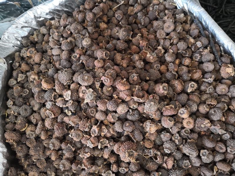 刺梨陕西干货药食同源2斤起包邮量大从优