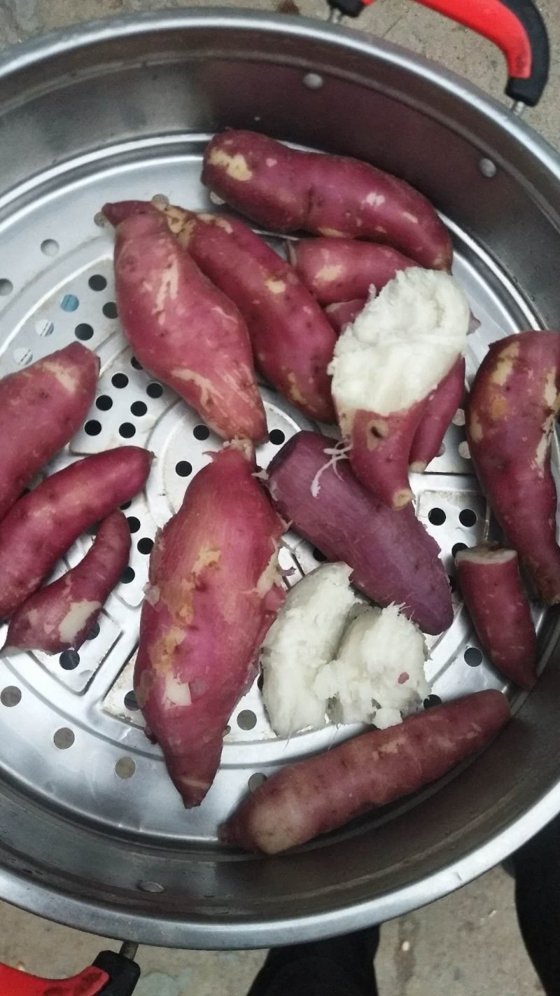 龙九红薯，大量供应。