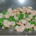 青虾仁