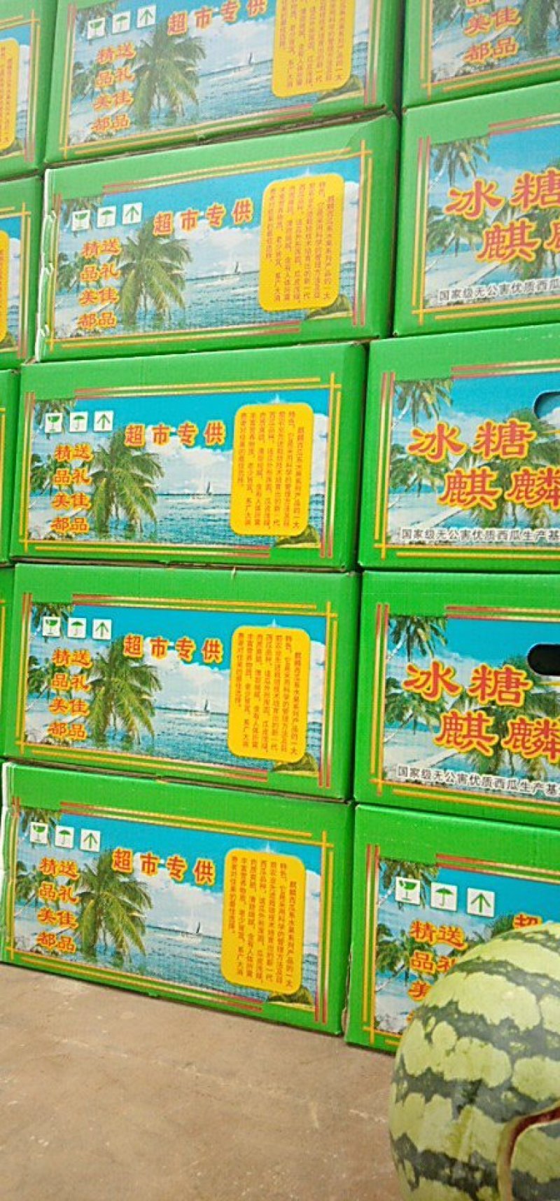 大量供应8424西瓜，保质保量代发全国！！！\