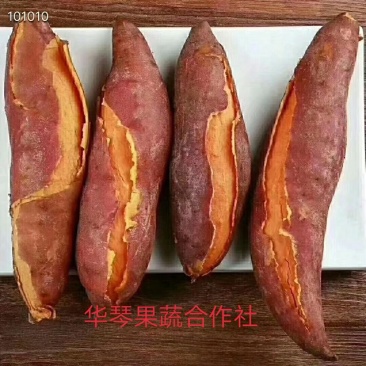 红薯
