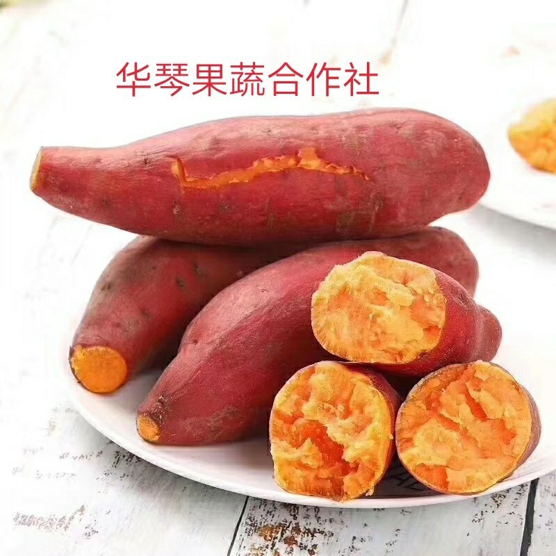 红薯