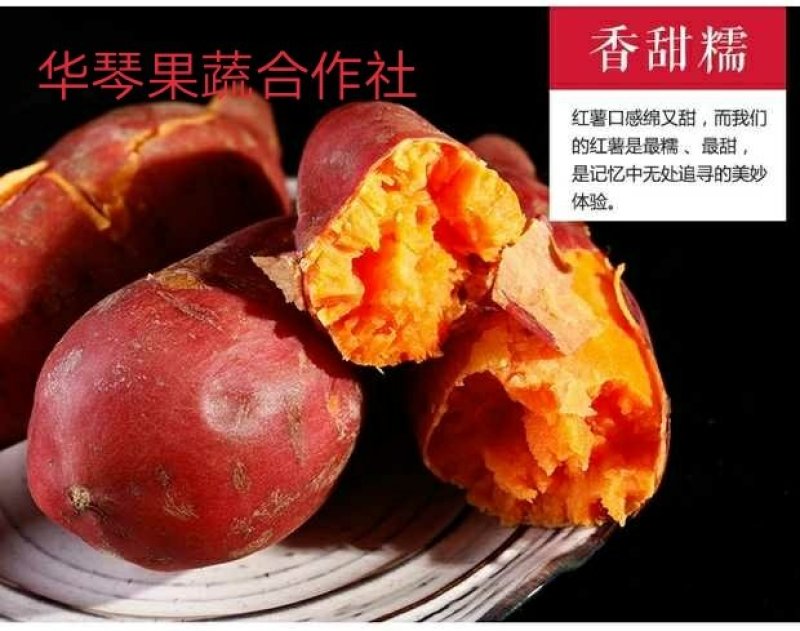 红薯