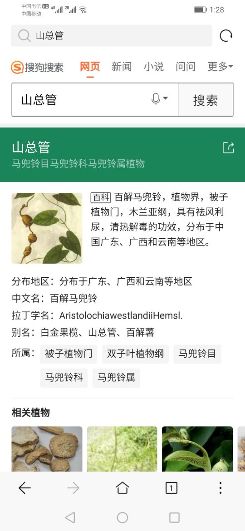 山总管、白金果榄、百解薯、银袋、苦凉藤，切厚片常年有货