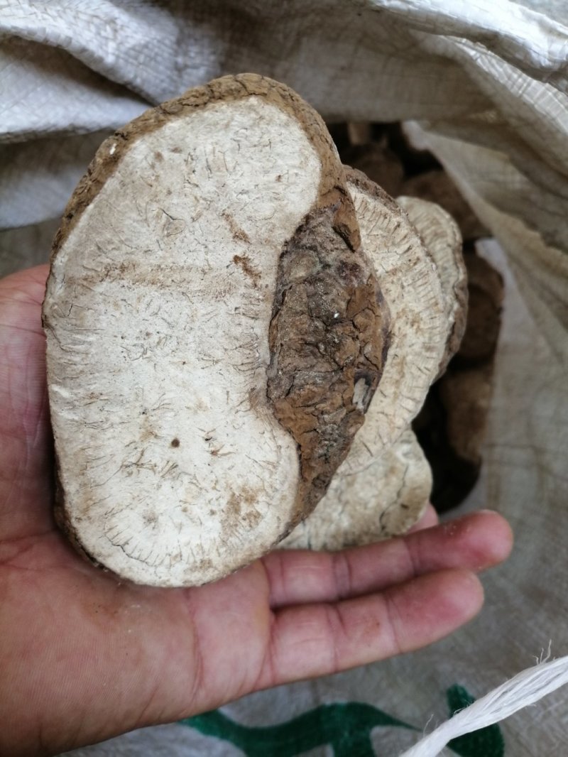 山总管、白金果榄、百解薯、银袋、苦凉藤，切厚片常年有货
