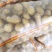 【土豆】山东平阴优质荷兰十五土豆精品2-4两袋装靓货