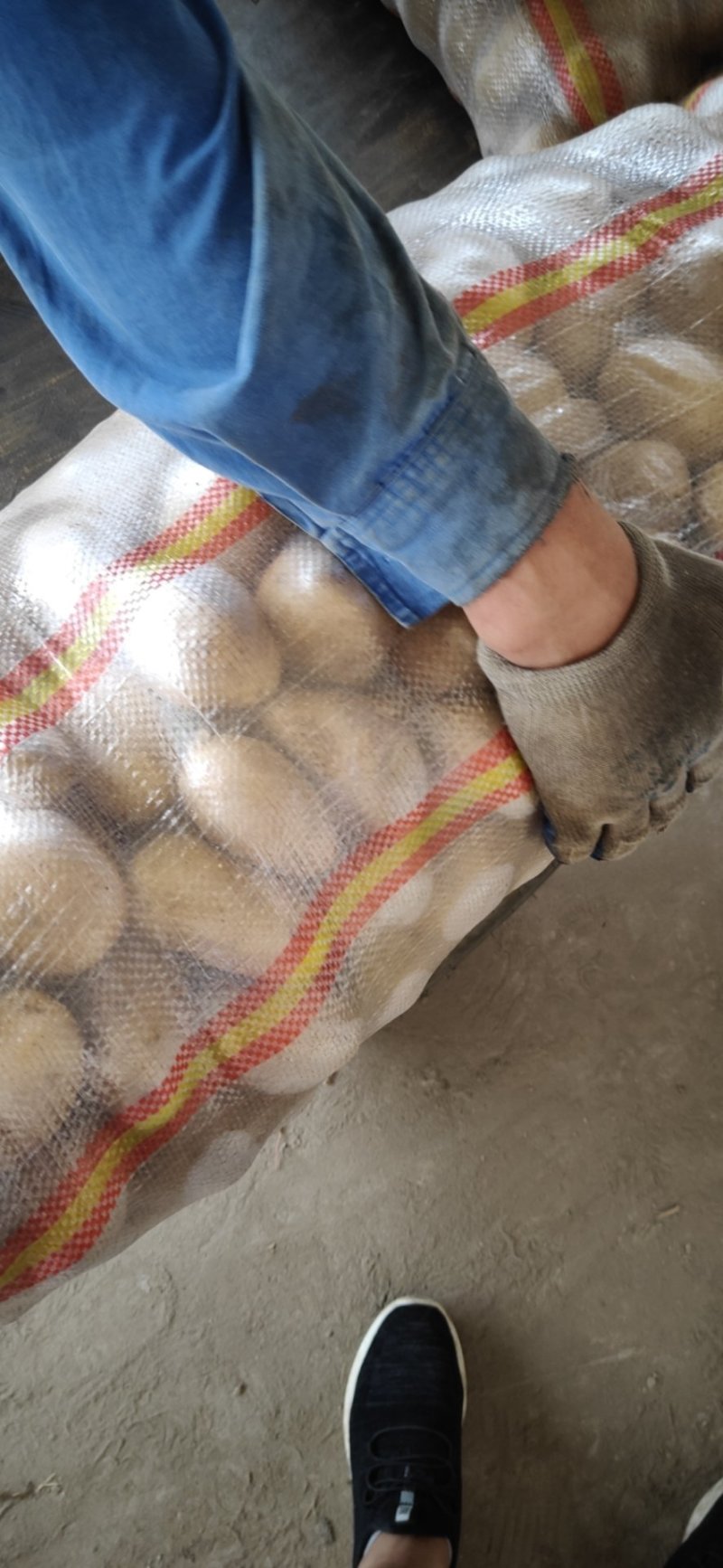 【土豆】山东平阴优质荷兰十五土豆精品2-4两袋装靓货