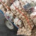 【土豆】山东平阴优质荷兰十五土豆精品2-4两袋装靓货