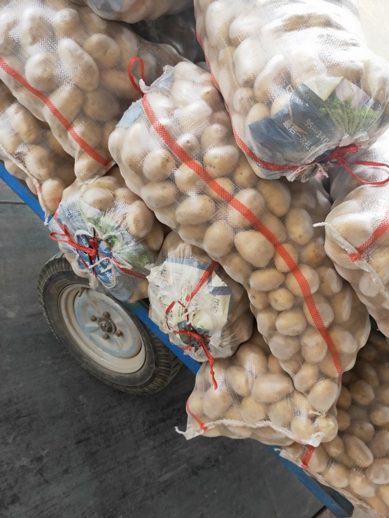 【土豆】山东平阴优质荷兰十五土豆精品2-4两袋装靓货