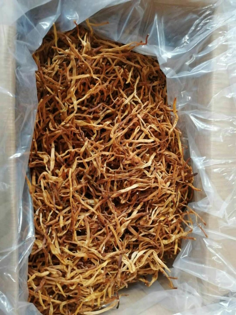 湖南黄条黄花菜大量有货