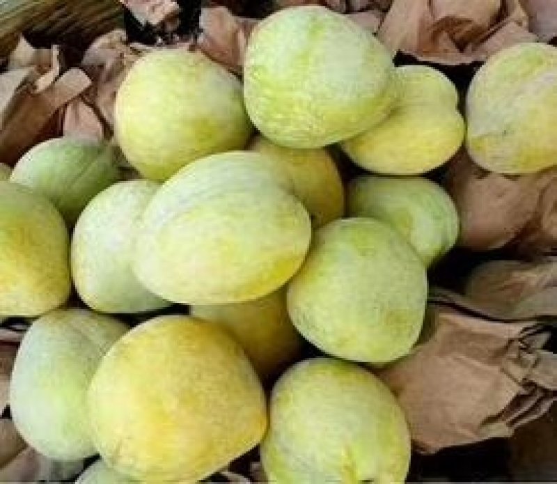 炎陵奈李