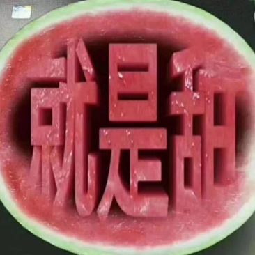 湖北省，襄阳市，宜城市黑皮无子西瓜大量上市了