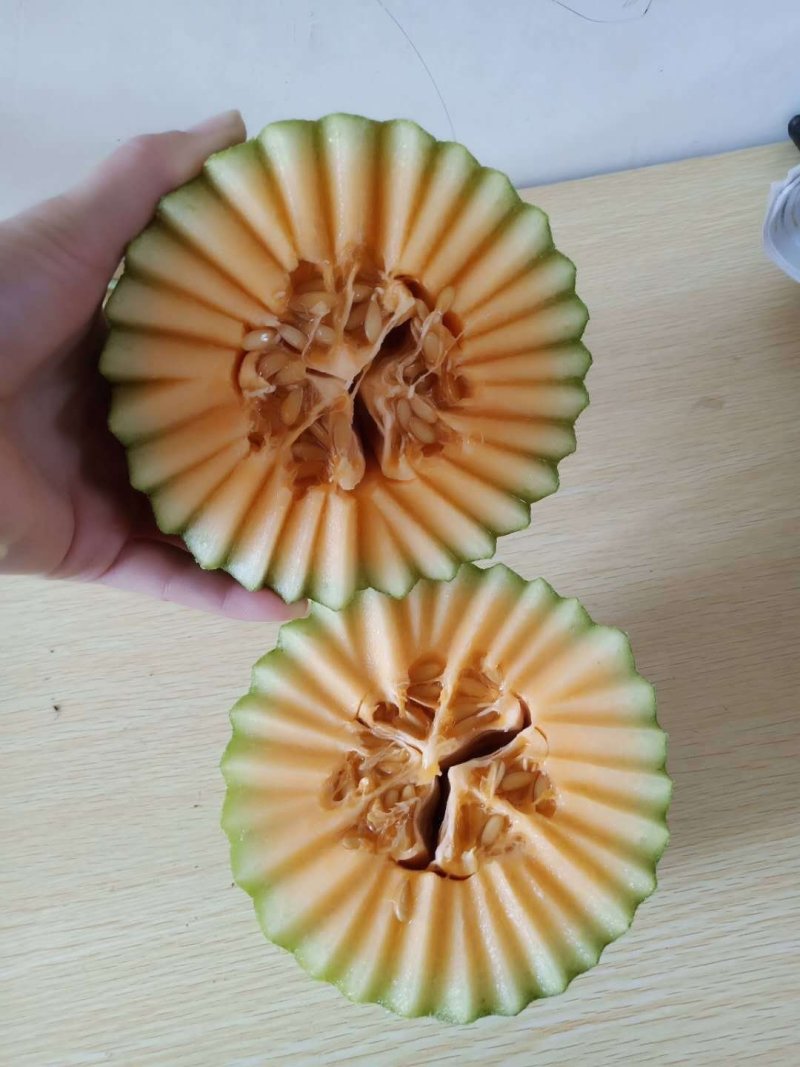 山东哈密瓜，蜜瓜胶蜜25号西州蜜新疆哈密瓜