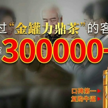 力鼎茶金罐装京东淘宝热门货源