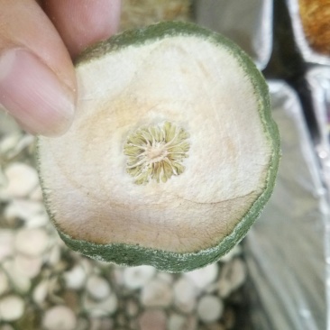减肥果瘦瘦果干品无硫泡水一公斤起包邮