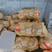 荷兰十五土豆二模精品装箱套网各种规格包装