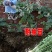 韩妃大长白萝卜种子耐抽苔抗病强产量高60天裂根少不易