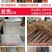 樱桃苗俄罗斯8号矮化樱桃苗基地直销