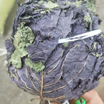 批发中药材紫苏叶苏叶苏子叶粉无硫新货支持药检