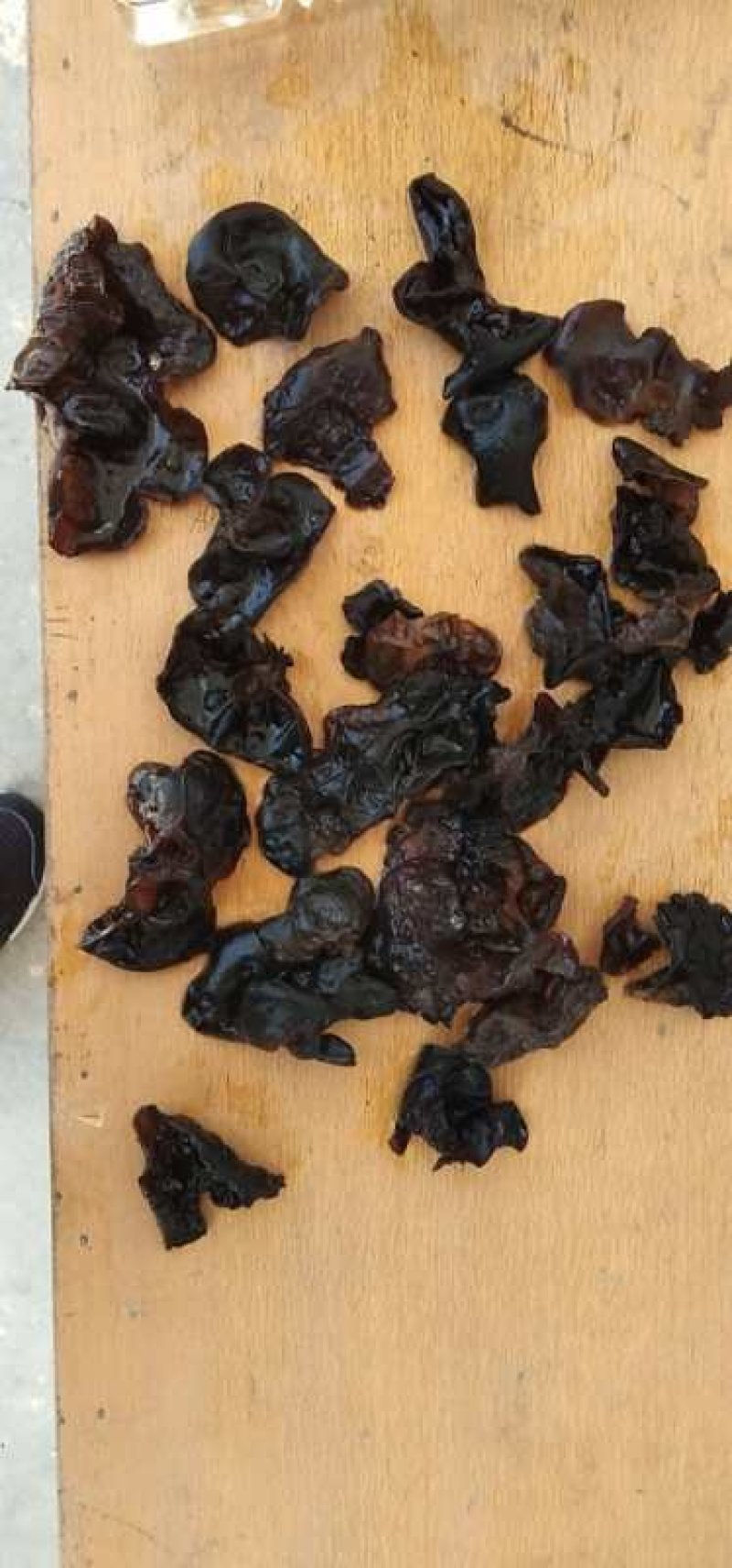 大棚秋木耳12的泡发率，色黑肉厚，通货0.7一1.2
