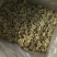 新二核桃仁尖白头路
