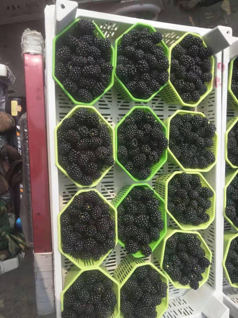 精品黑莓！市场！