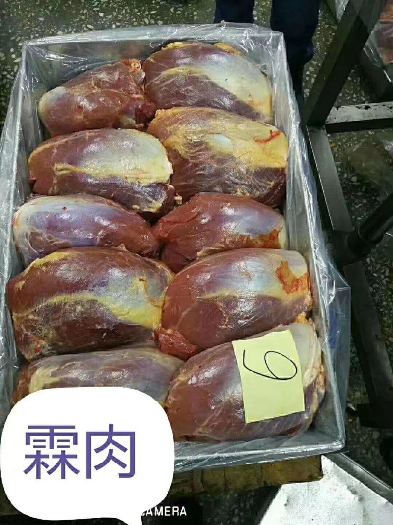 马肉新鲜马肉有4分体，8分体，质量保证一手货源。