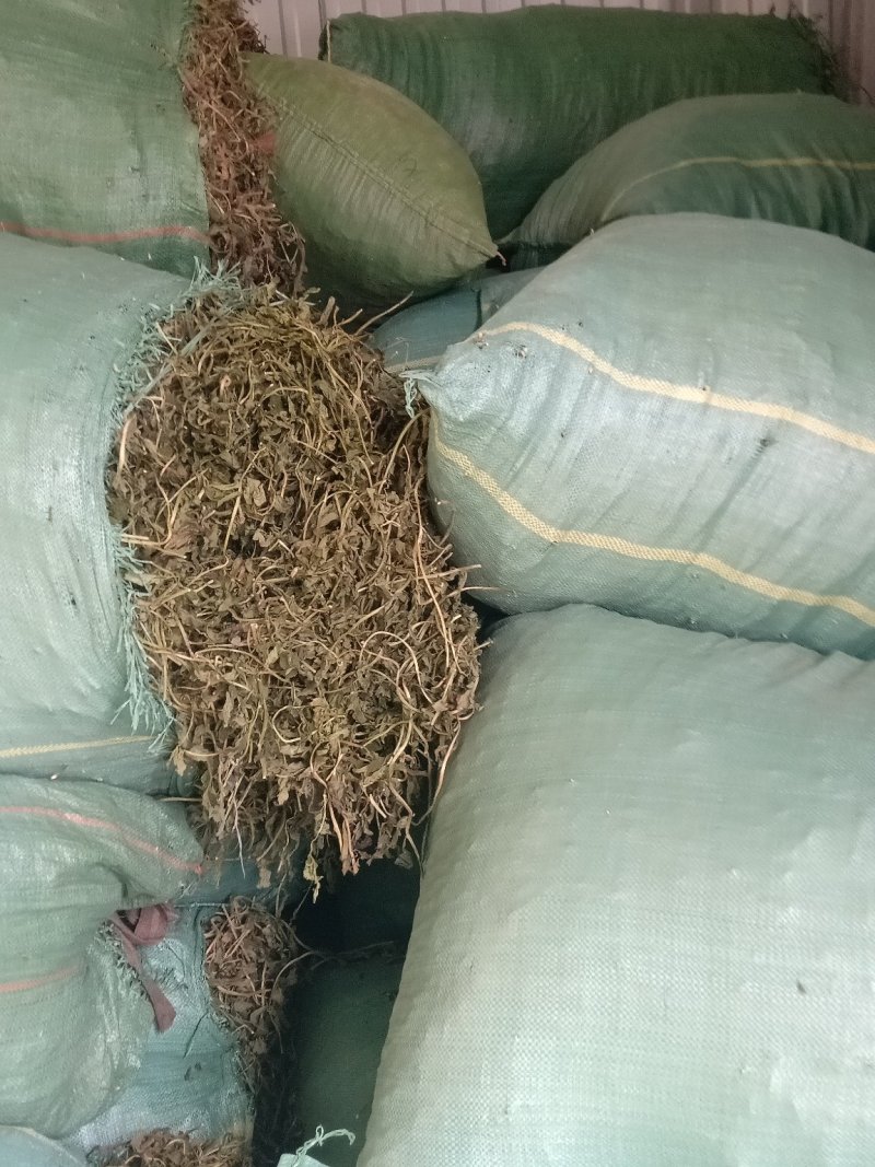 灵香草不香不要钱火锅底料必配