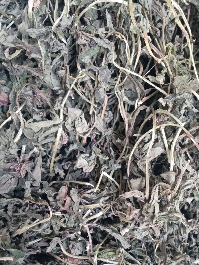 灵香草不香不要钱火锅底料必配