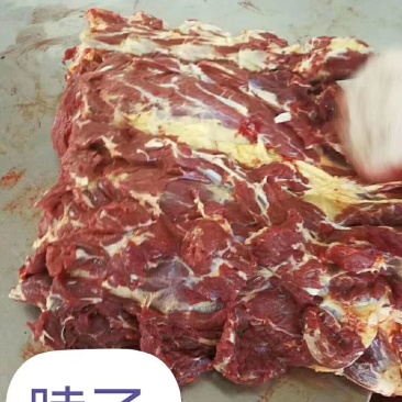 蒙古鲜马肉，马脖子肉，不带皮去油质量好一手货源，