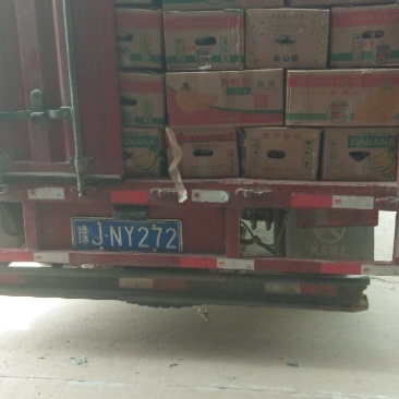 优质皇冠梨