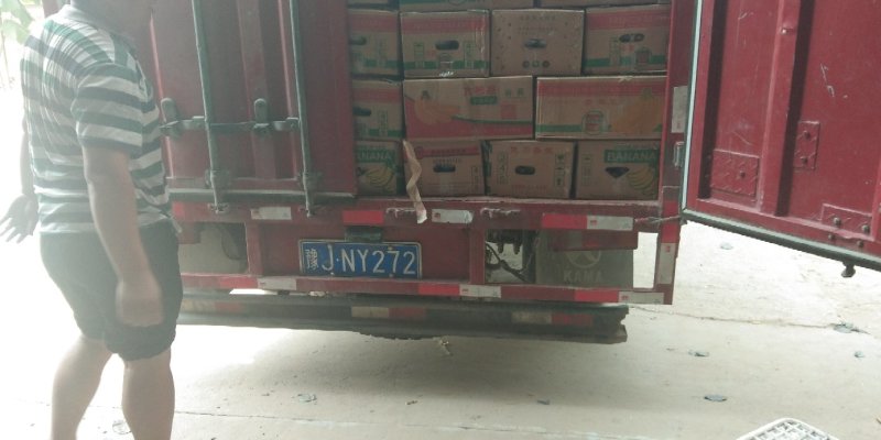 优质皇冠梨