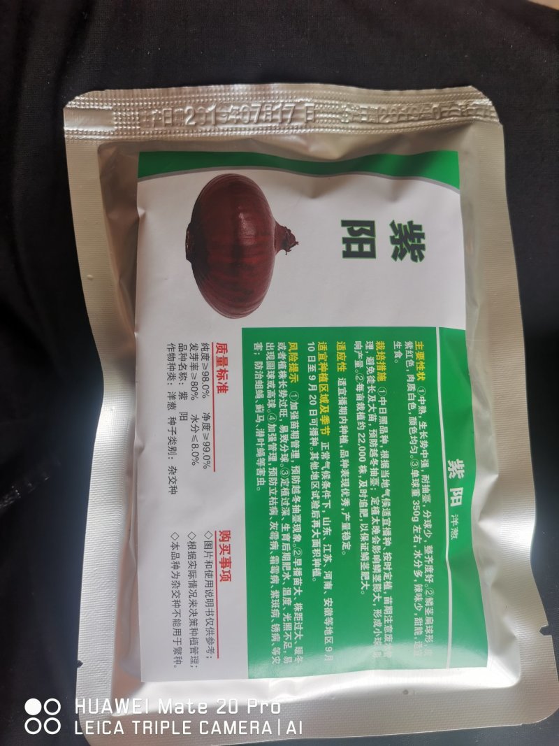 精品洋葱种紫阳紫玉88爱知紫丰红象种子