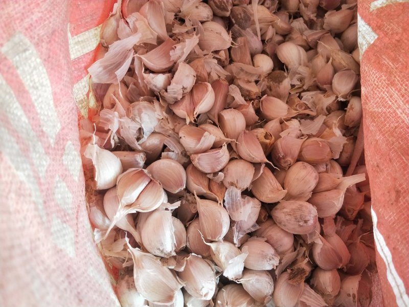 蒜瓣