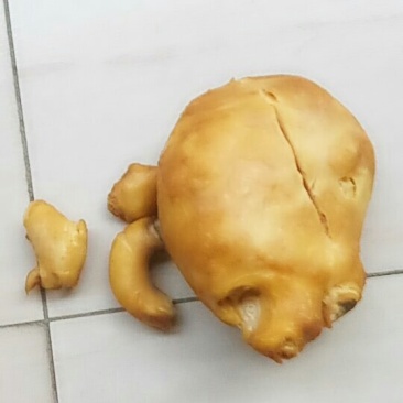 岀售鸡宝
