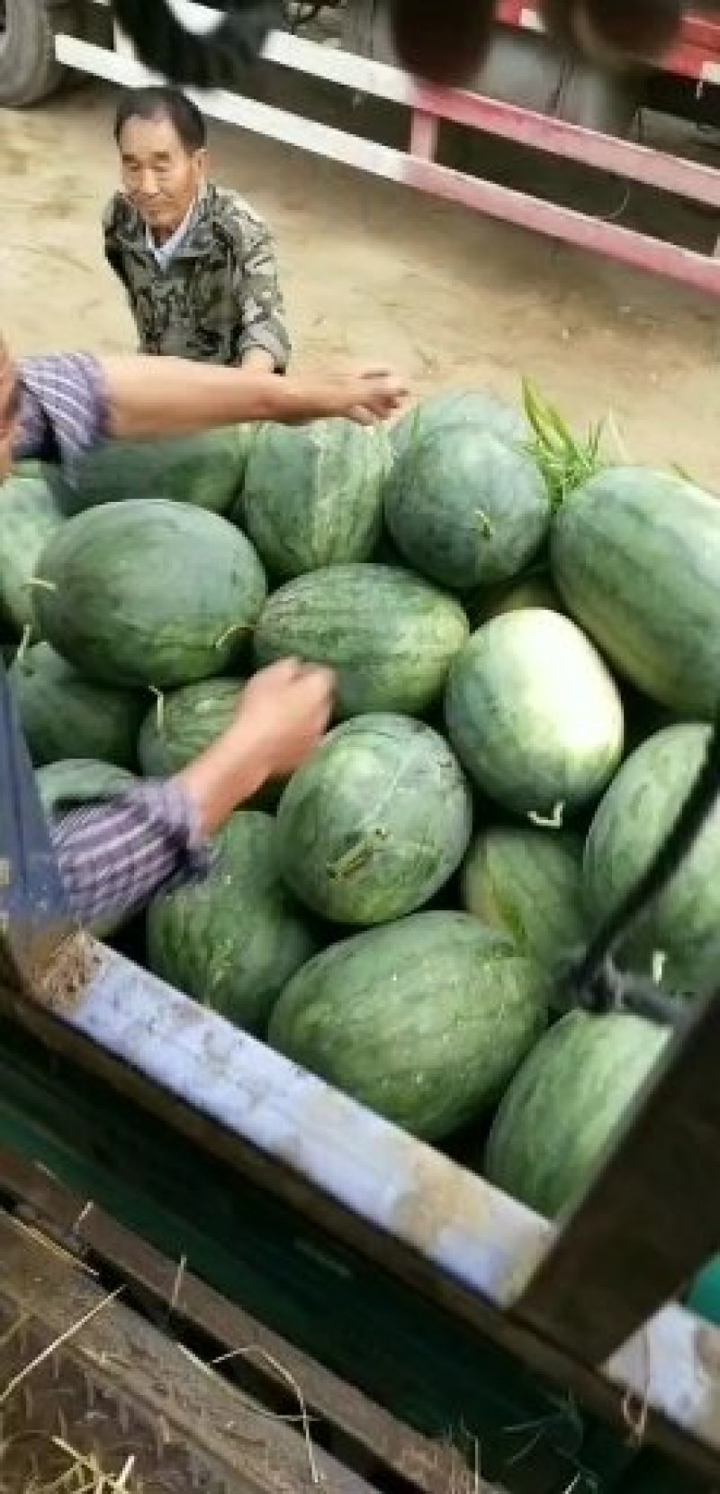 西瓜