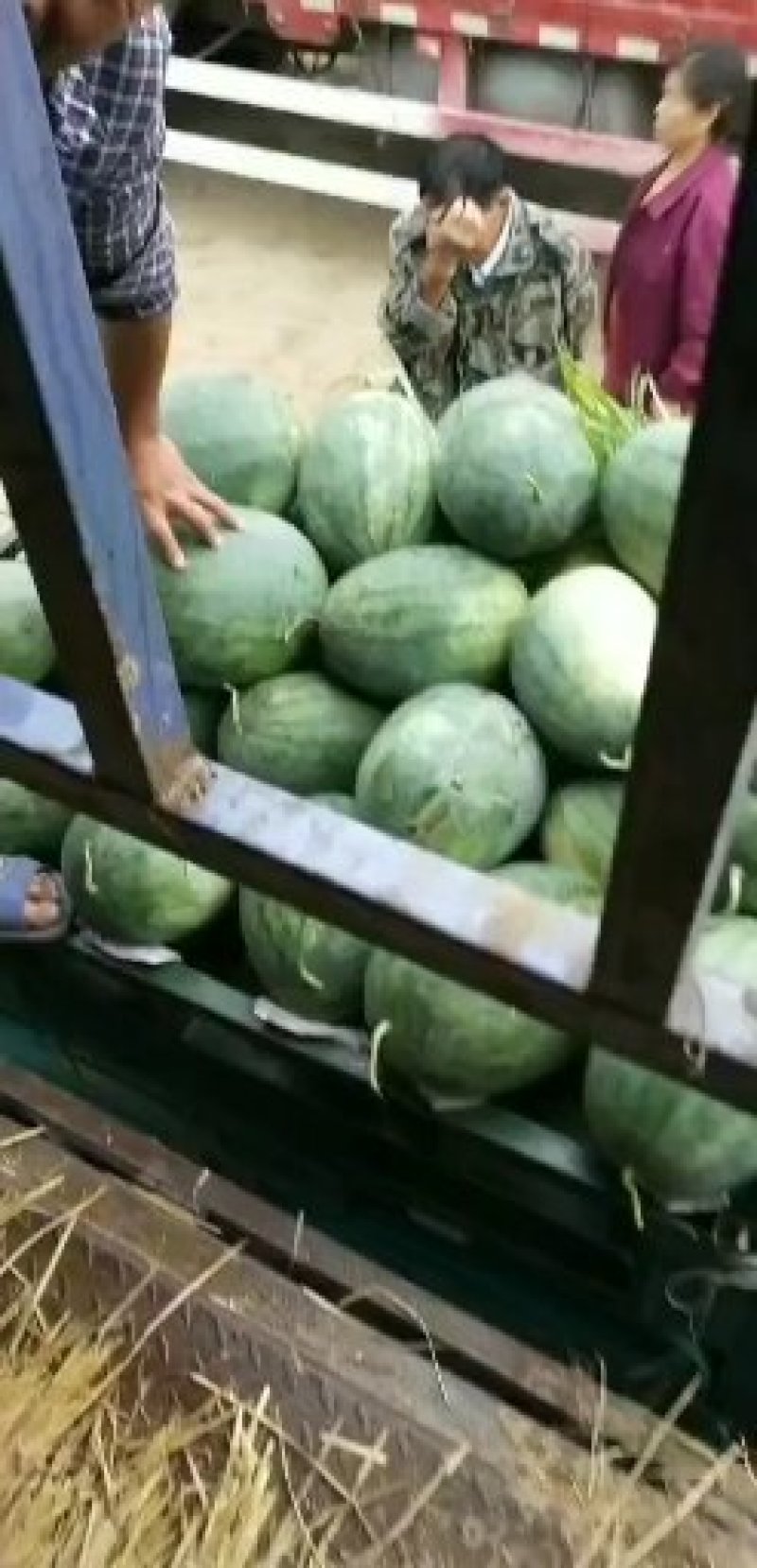 西瓜