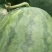 西瓜