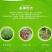 茶梅园林绿化工程苗木树苗花园植物苗圃货