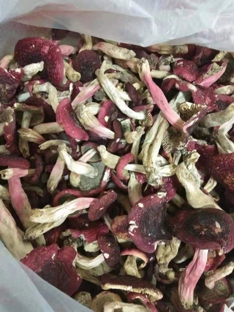 云南野生干红菇。