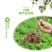毛鹃庭院园林绿化工程苗木花园四季常绿苗圃大量出售