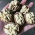 有需要青皮核桃的联系我