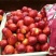 各种陆地油桃、毛桃大量上市