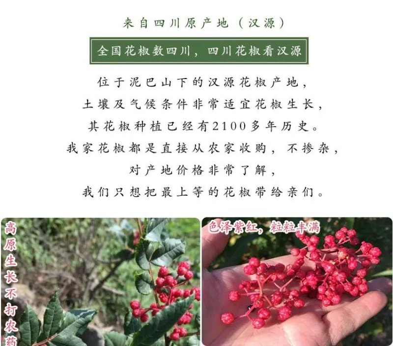 四川汉源花椒麻椒大红袍干红花椒特麻一件代发