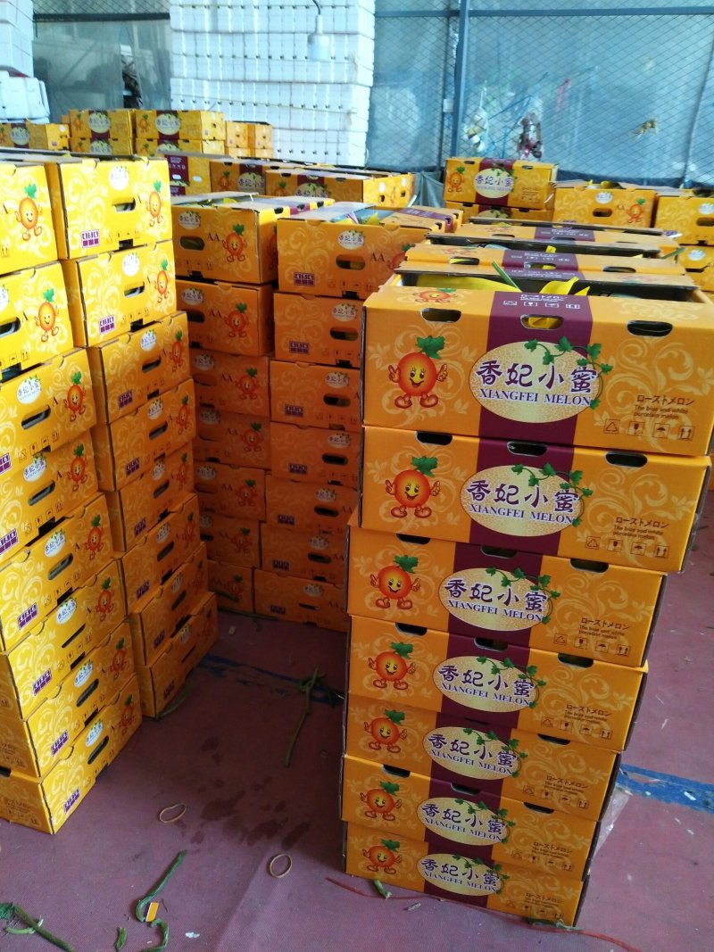 晓蜜25号，产地直供，新鲜釆摘，大量上市中