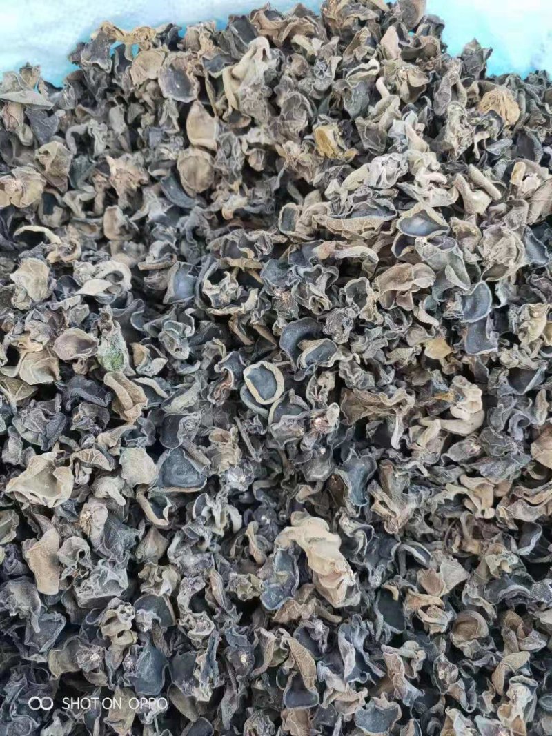 木耳特级