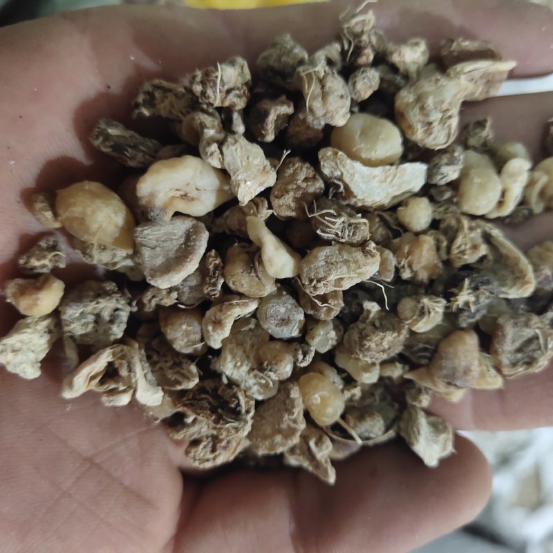 毛慈姑，统货关书药材批发中药材…………………