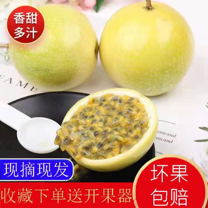 【送开果器】广西黄金百香果大果5斤水果新鲜黄金百香果黄皮
