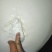 纯绿豆淀粉，传统酸浆提取，无任何添加剂，属绿色食品