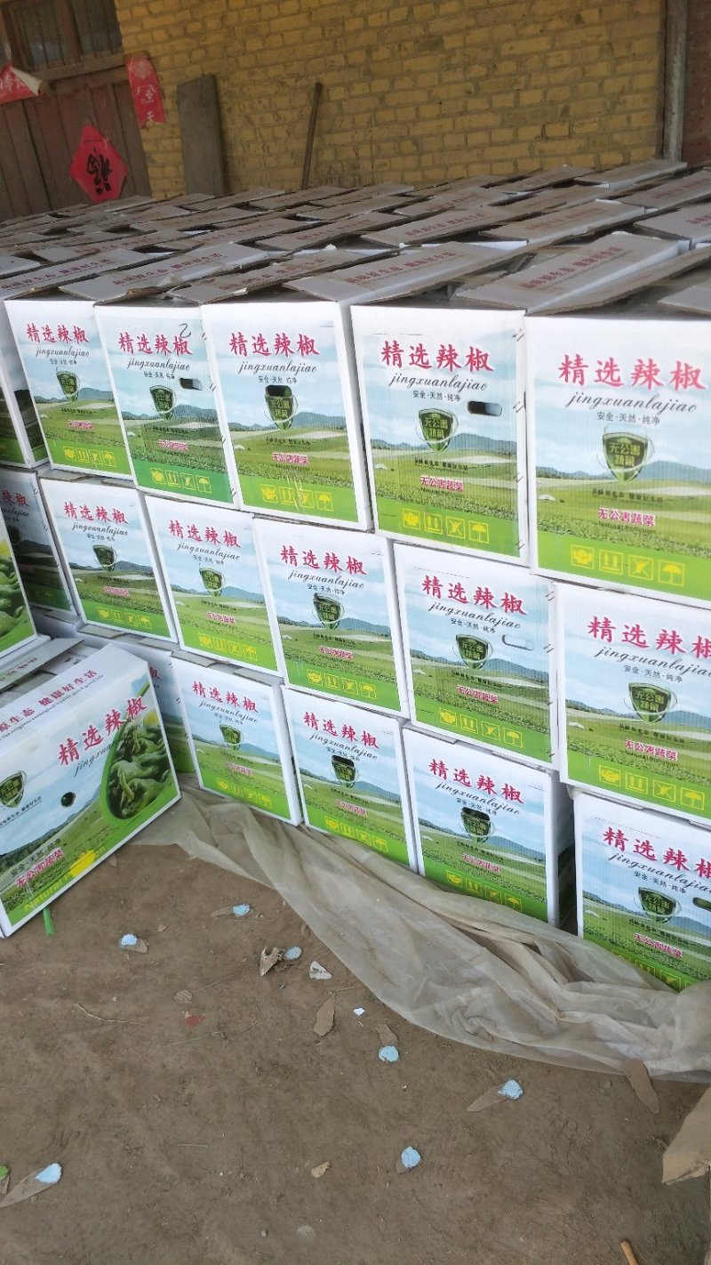 精品泡椒